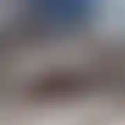 Rekultywator1 - mann, 44 Jahre, Szczekociny
