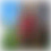 Fajnyzjednymjajkiem