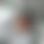 Boston - mężczyzna, 48 lat, Sośnicowice