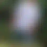 Apatortorun100