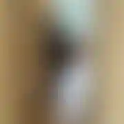 Eksterioryzacja88