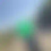 Rabbit69