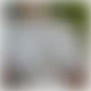 Mlodymis7