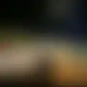 Alexkot1