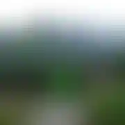 RealnyJa88