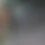 Kryptomen