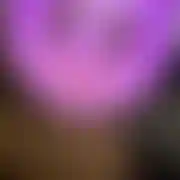 Candycook