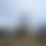 Zawszedaleko