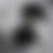 Uszepti