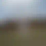 Miru69