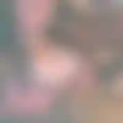 0N4i0n