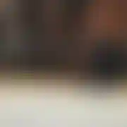 8819