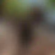 Marioo333 - muž, 33 let, Borken