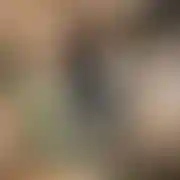 Ignasignas