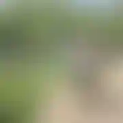 Wkurwiony