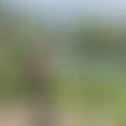 Wkurwiony