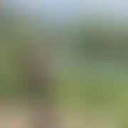 Wkurwiony