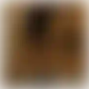 NikeMan