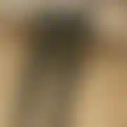 Kacper724