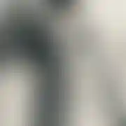 2Muni