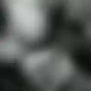 ALEXBIGDICKVIPSERVICE