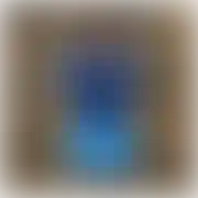 Loco2