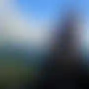 Chicken69