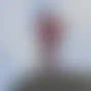 Samotnywilczek