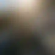 NORBI502