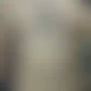 Dzikso