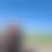 SmoczekJa - mann, 38 Jahre, Blachownia