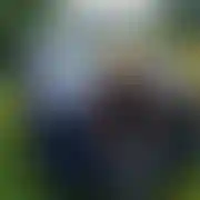 Figlarek