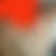 Havvt