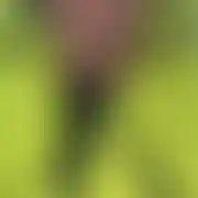 RealnieLokalnie92