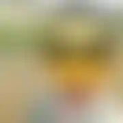PogotowieOralne93
