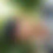 Ro81 - muž, 42 let, Świeradów-Zdrój