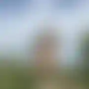VladekCh