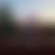 Zapinak69