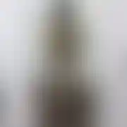 CrazyCrabPL