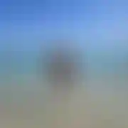 Wojtek92o