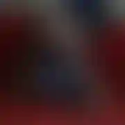 DonatellaX