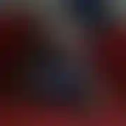 DonatellaX