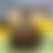 Bezgumy2000 - пара (женщина 26 лет, мужчина 32 лет), Strzelce Opolskie