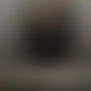 Djdjwelf