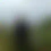 Namietnypocalunek