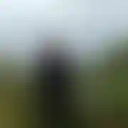 Namietnypocalunek