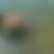 ZonatyDrwal69