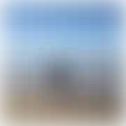 Opurty