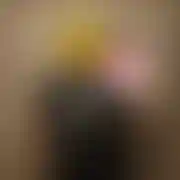 Lastviking11