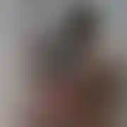 Rebolledo